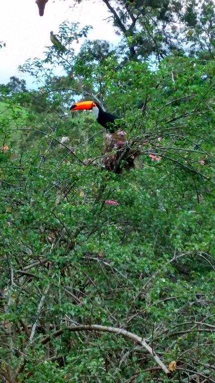 Pousada Do Mendonca Juiz de Fora Esterno foto
