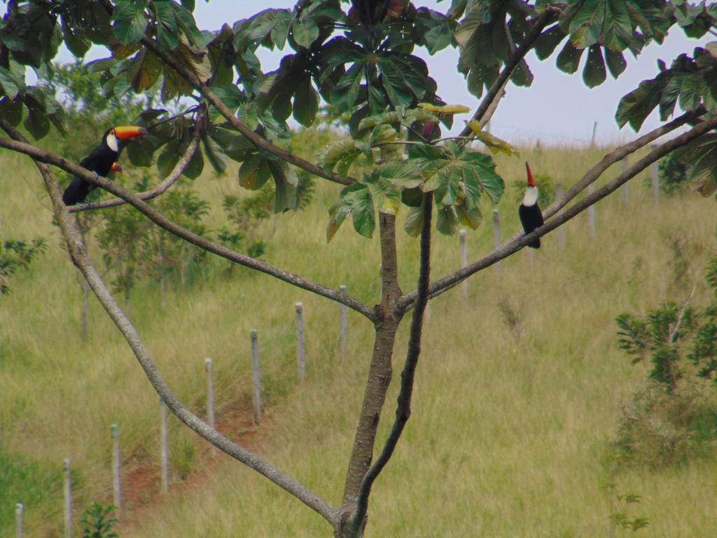 Pousada Do Mendonca Juiz de Fora Esterno foto